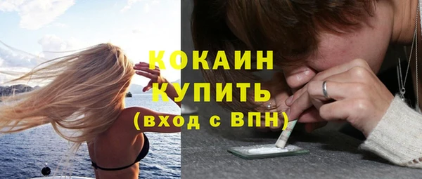 тгк Арсеньев