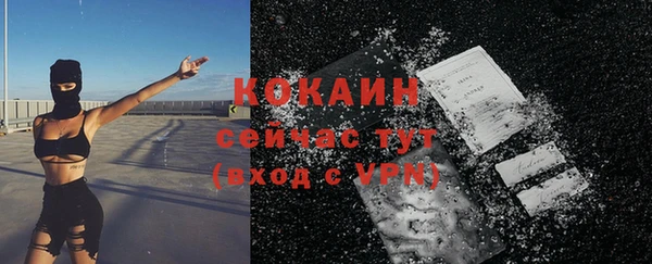 тгк Арсеньев