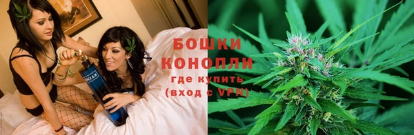 тгк Арсеньев