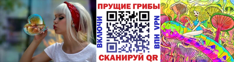 Псилоцибиновые грибы прущие грибы  Строитель 